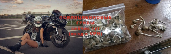 герыч Алексин