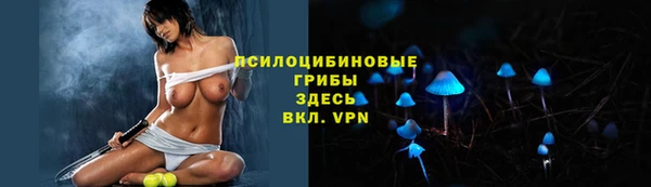 герыч Алзамай