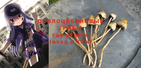 герыч Алексин