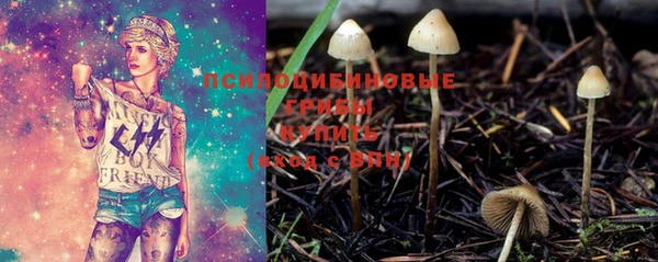 ешки Нягань
