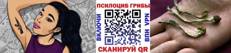 Галлюциногенные грибы Cubensis  Ветлуга 